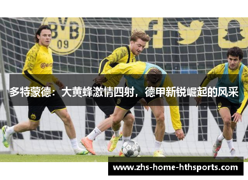 多特蒙德：大黄蜂激情四射，德甲新锐崛起的风采